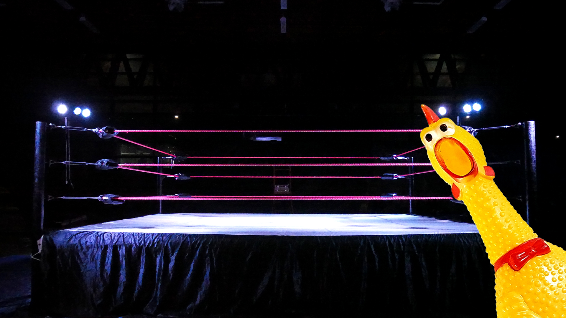 Wrestling ring with rubber chicken