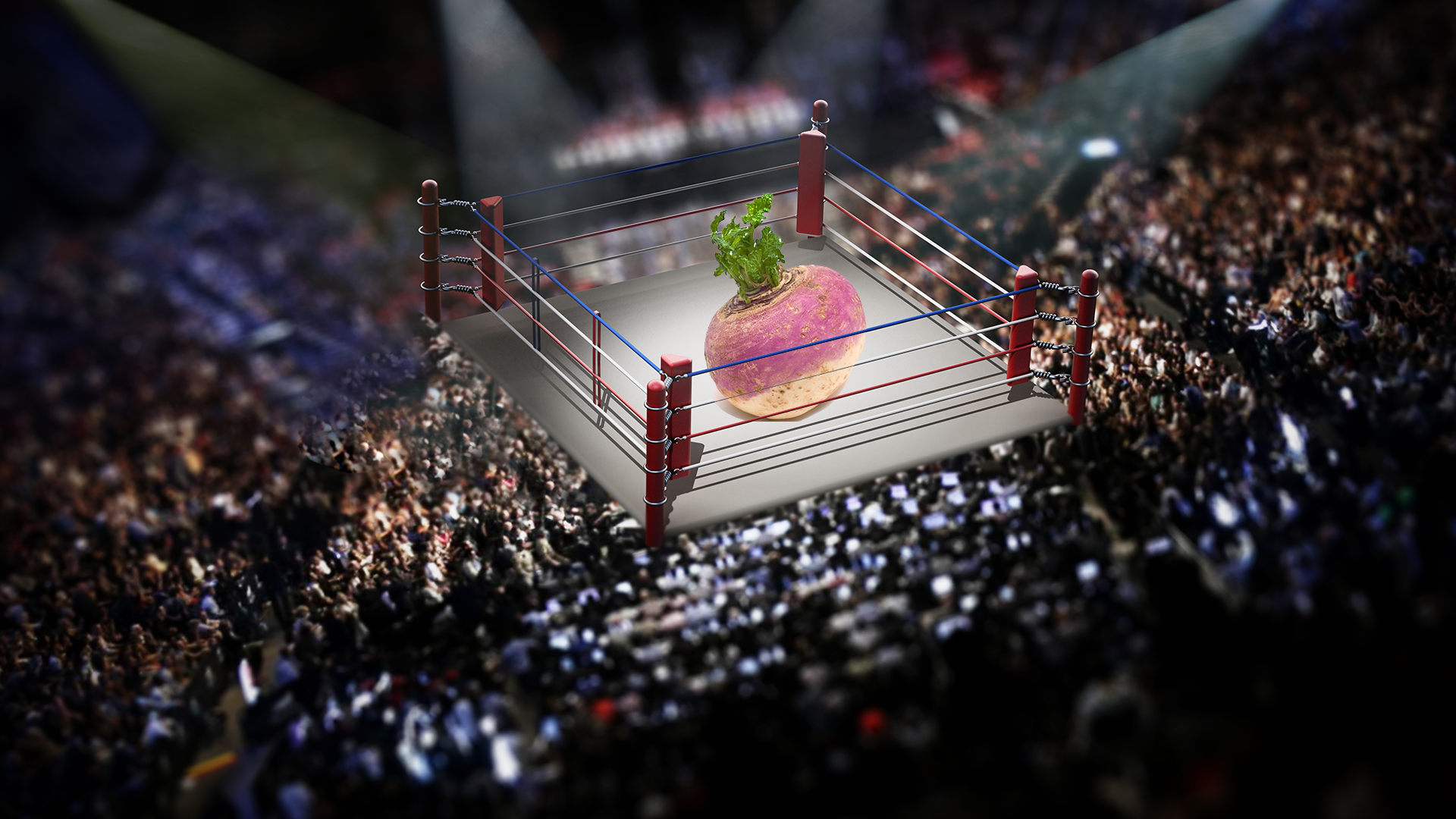 Wrestling ring with comically oversized turnip inside