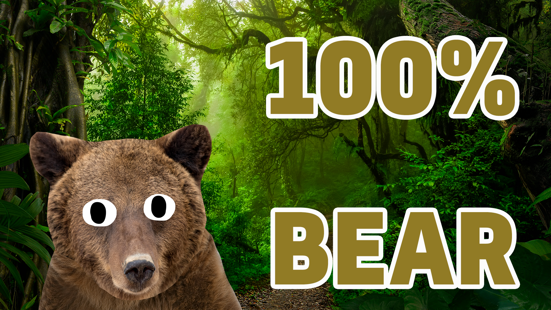 100% Bear result