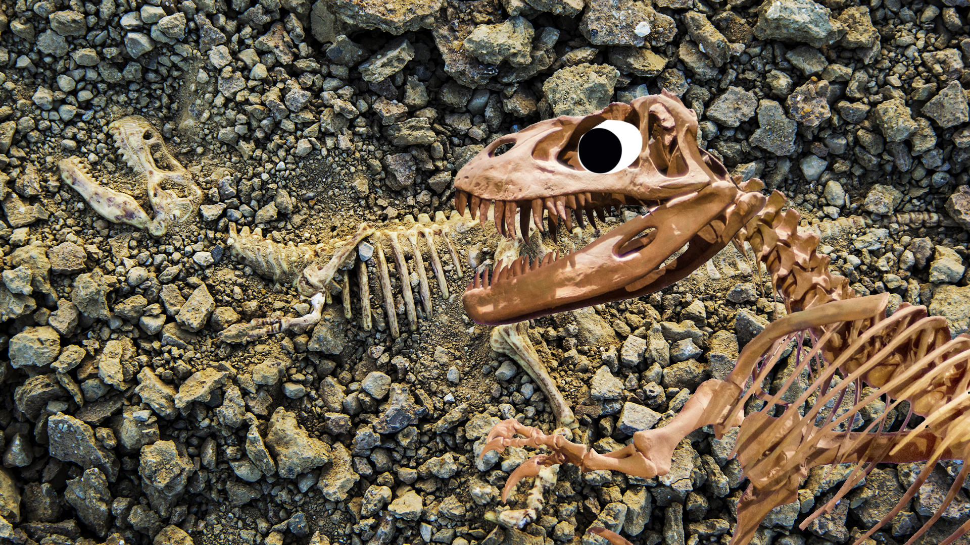 Dinosaur bones in ground with goofy dinosaur skeleton