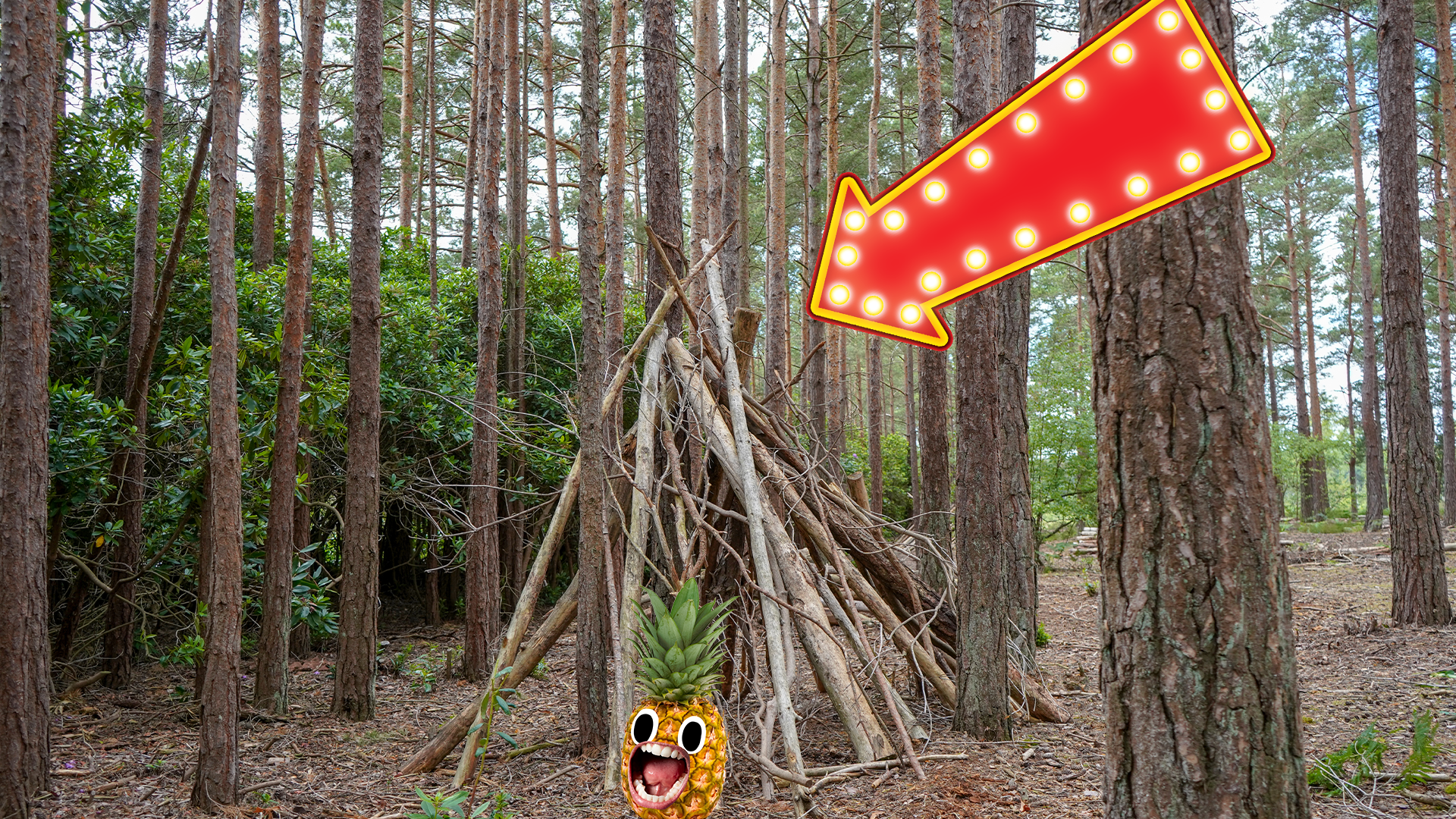Stick shelter in forest with arrow and screaming pineapple