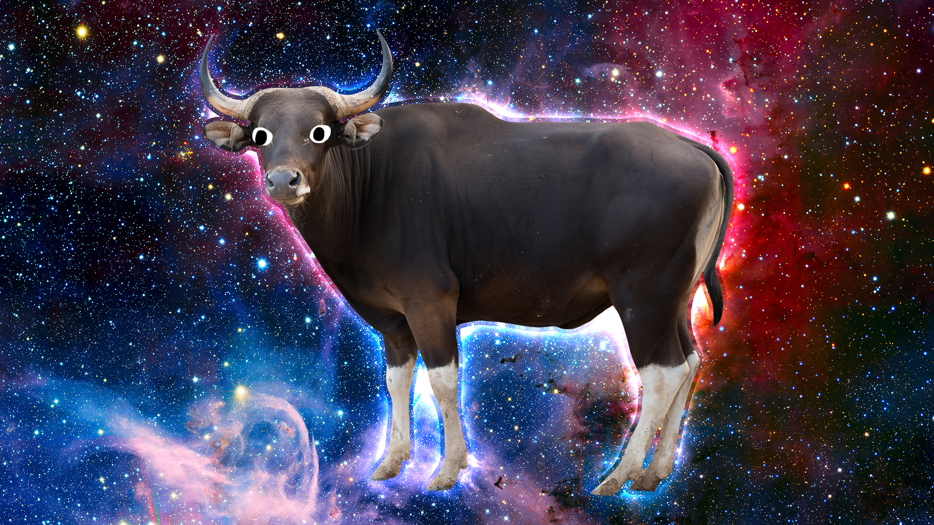 A flying space bull