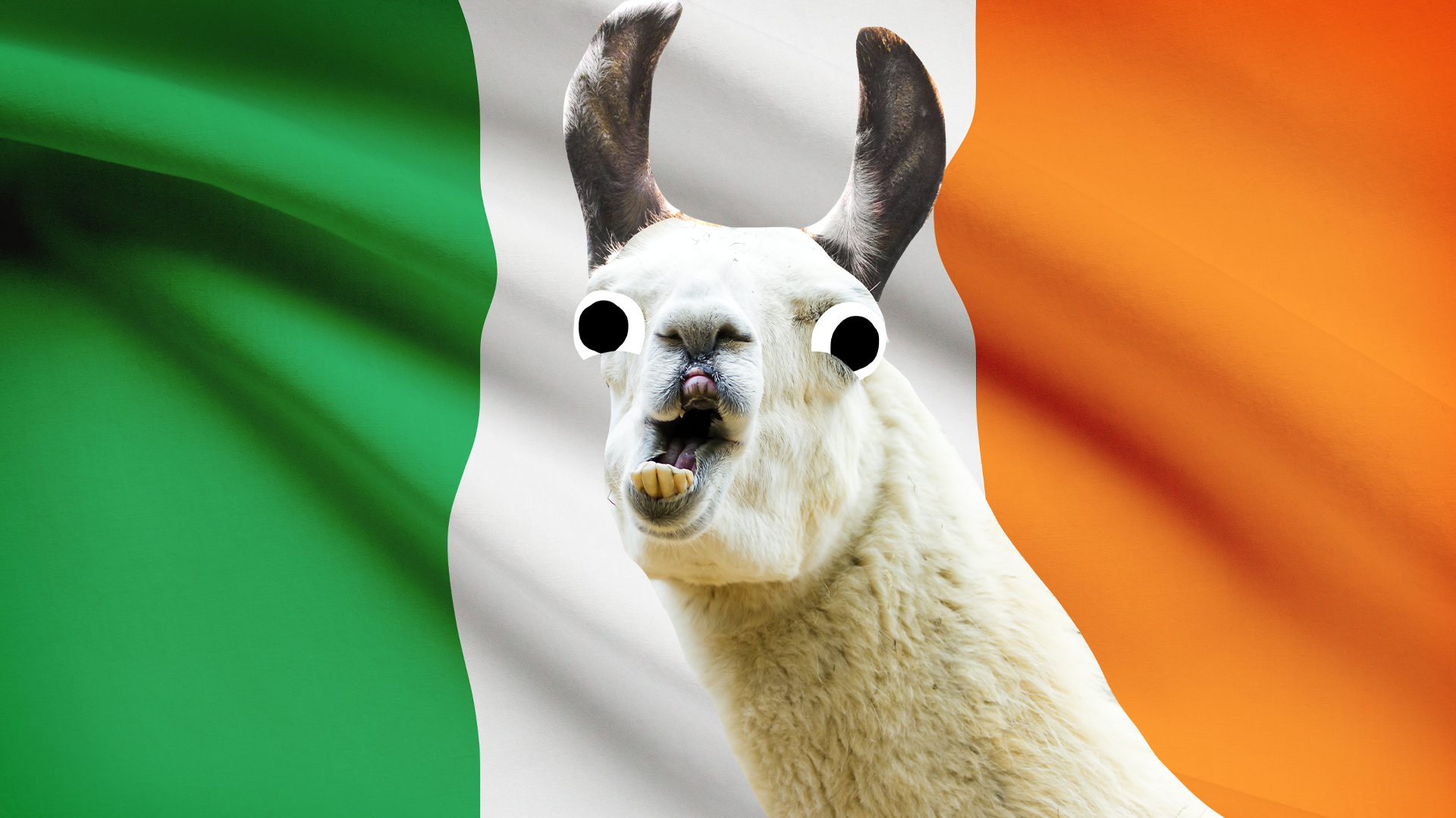 Derpy llama on Irish flag background 