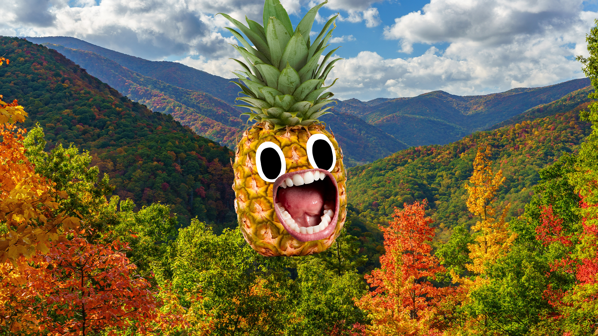 Pineapple in front of mountains