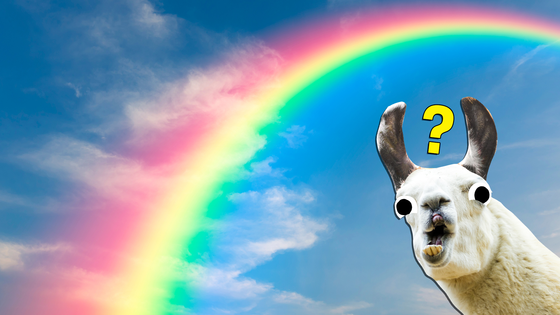 A llama looks at a rainbow