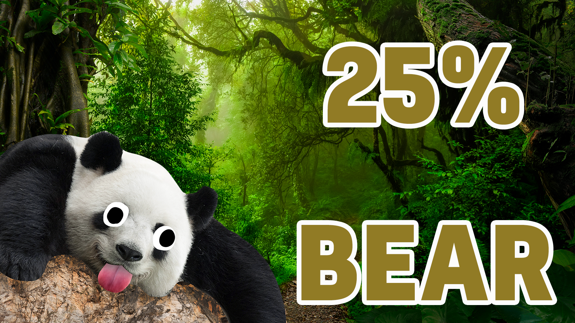 25% Bear result 