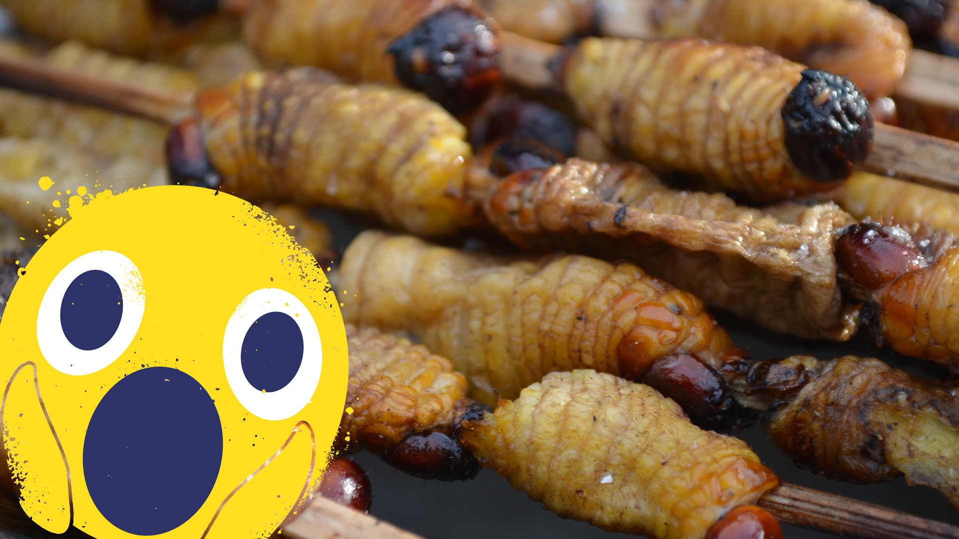 Edible grubs and shocked emoji 
