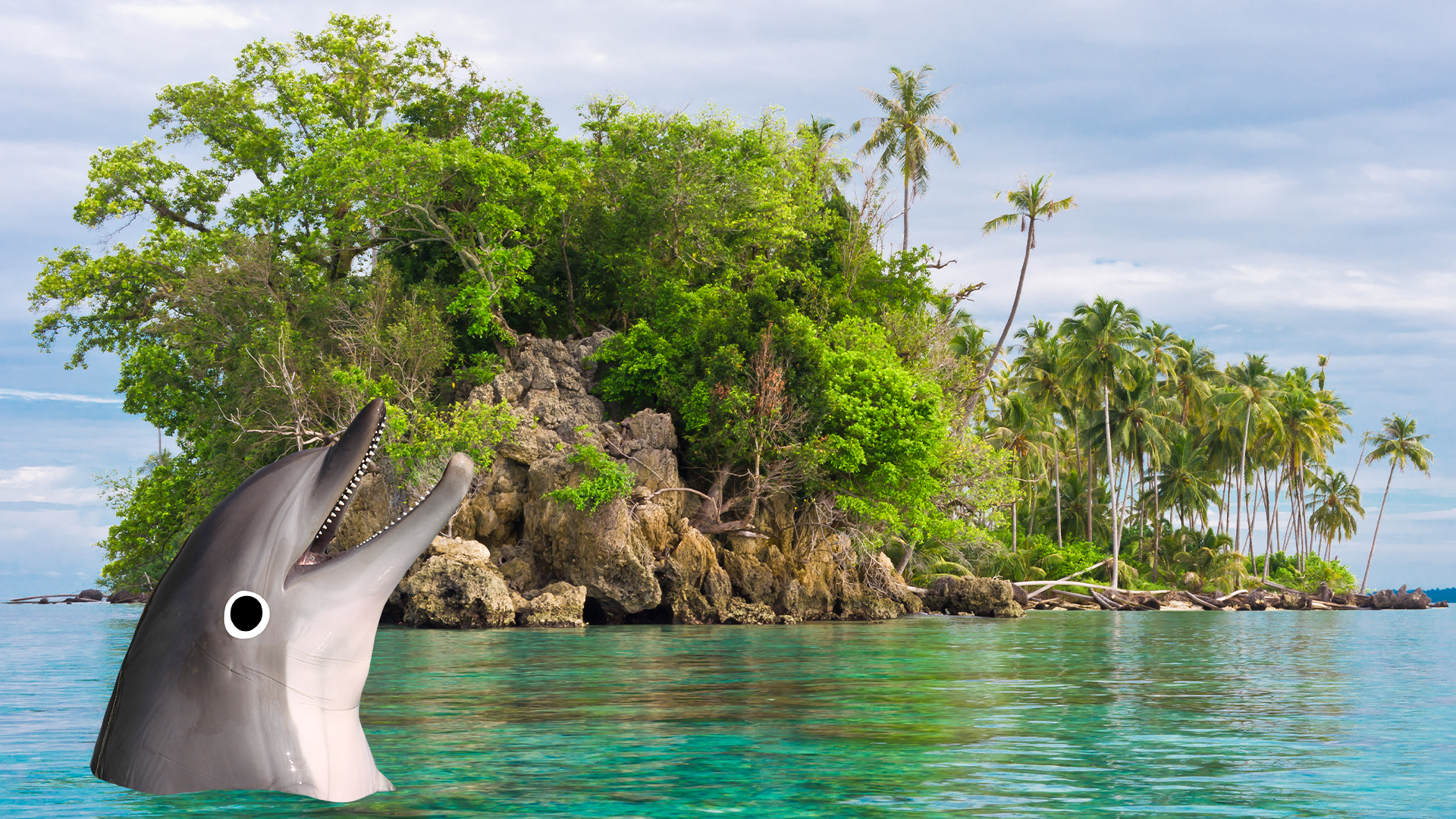 Tropical island with goofy dolphin 