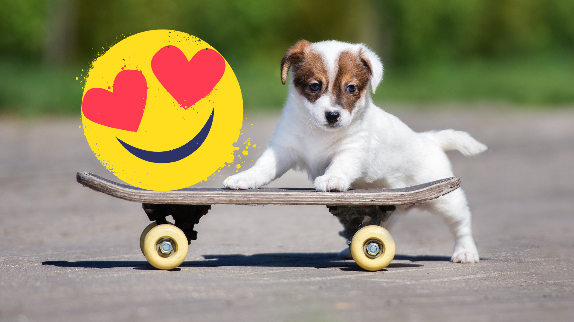 Puppy on skateboard with emoji 