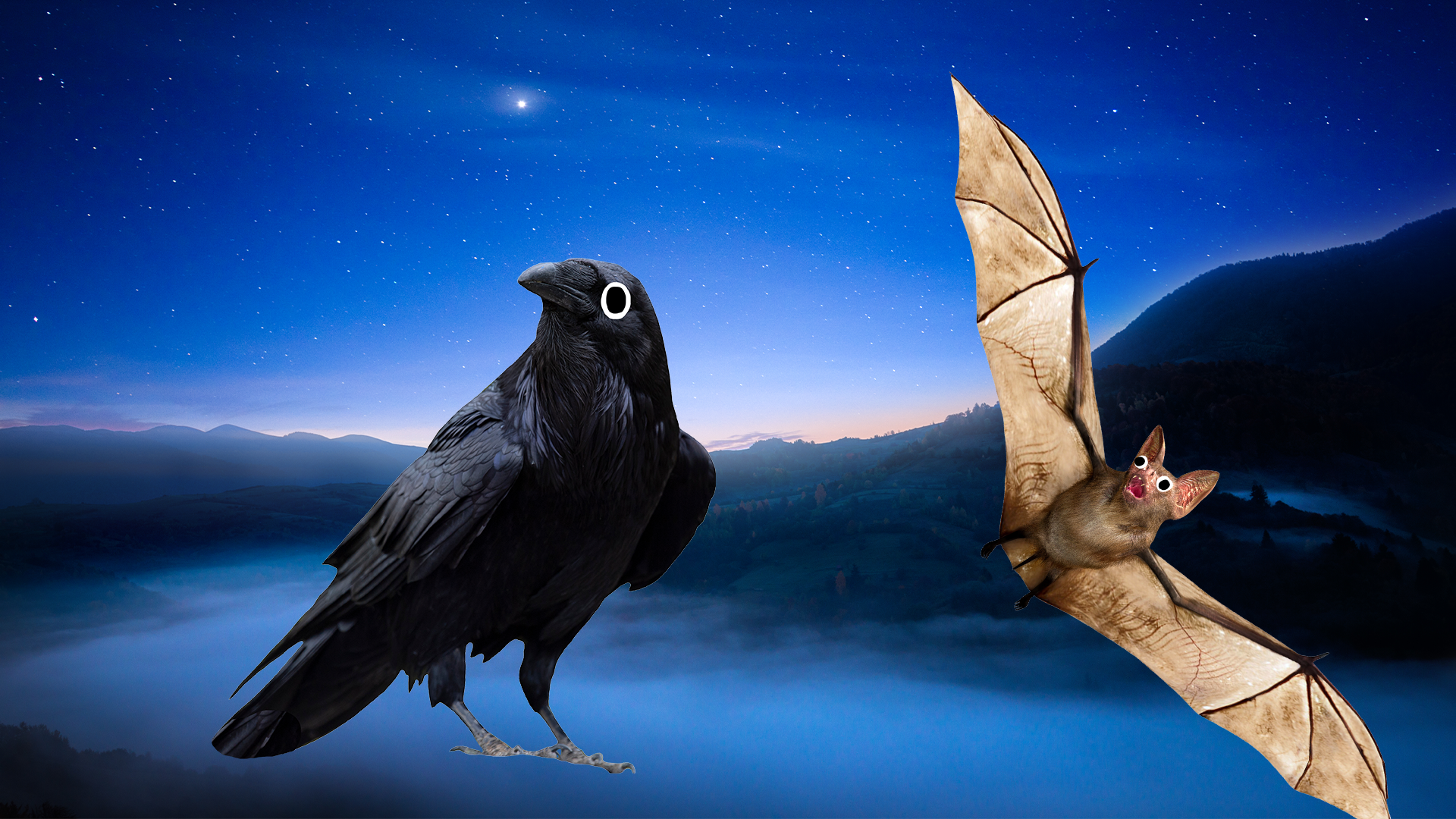 Raven and bat on night time background