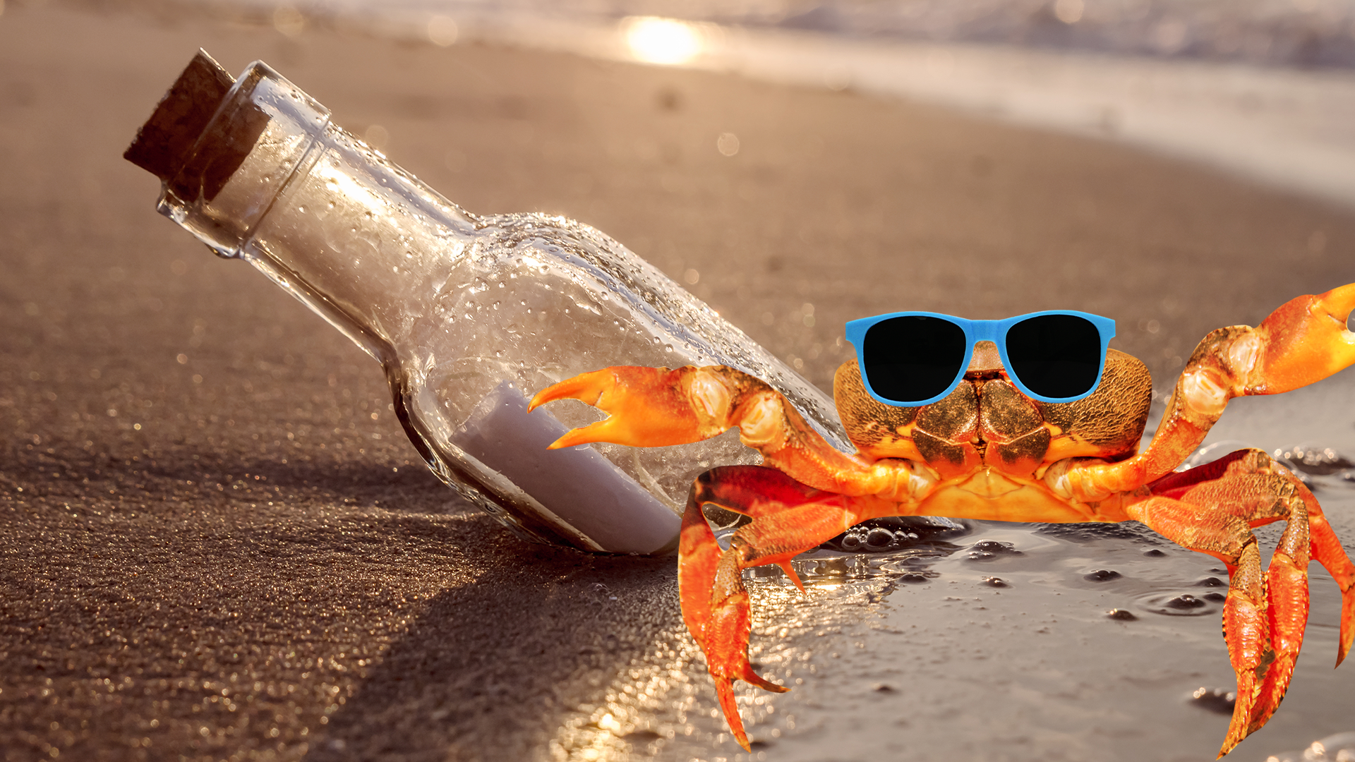 Message in  bottle on beach with cool crab in sunglasses
