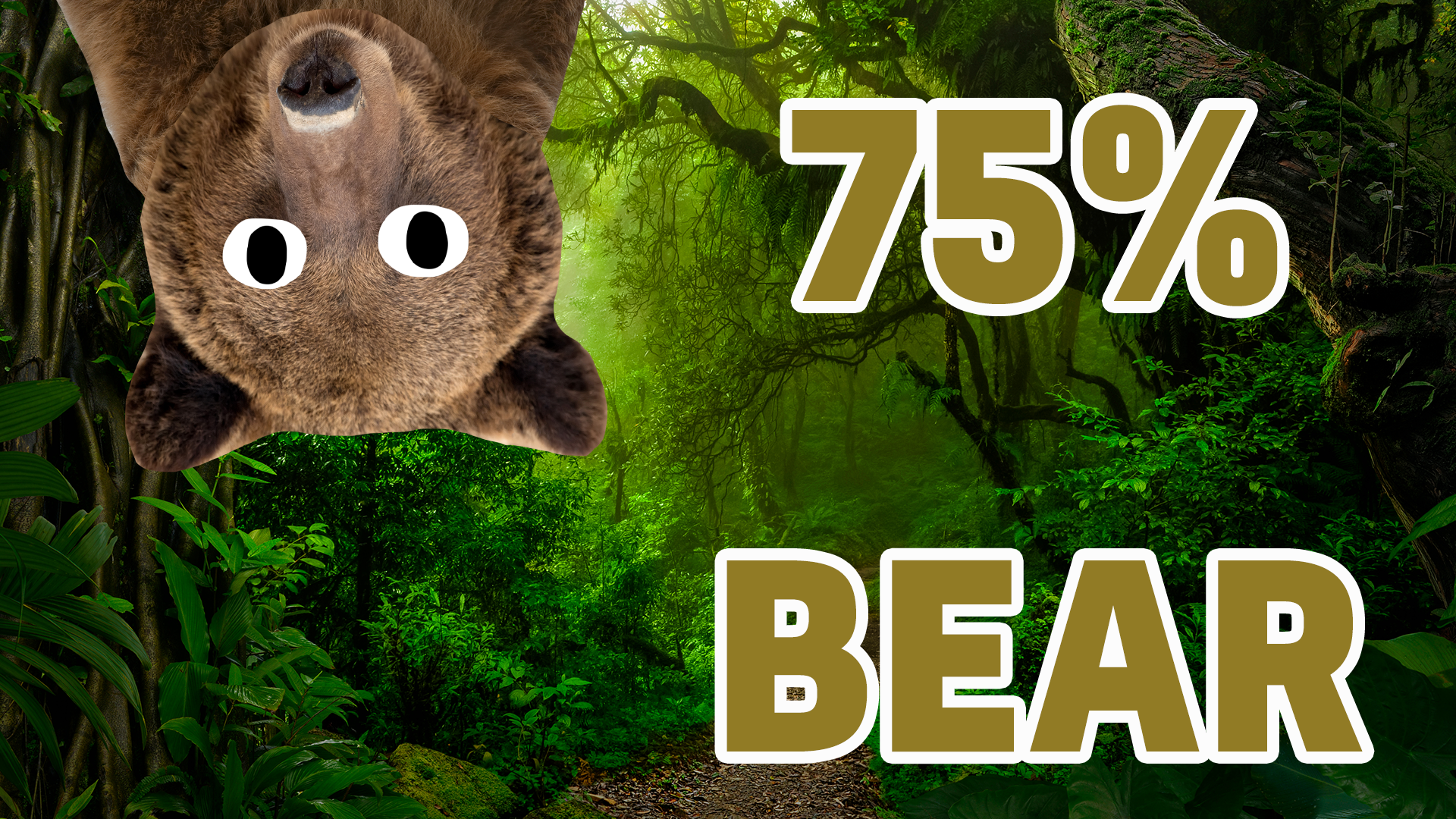 75% Bear result 