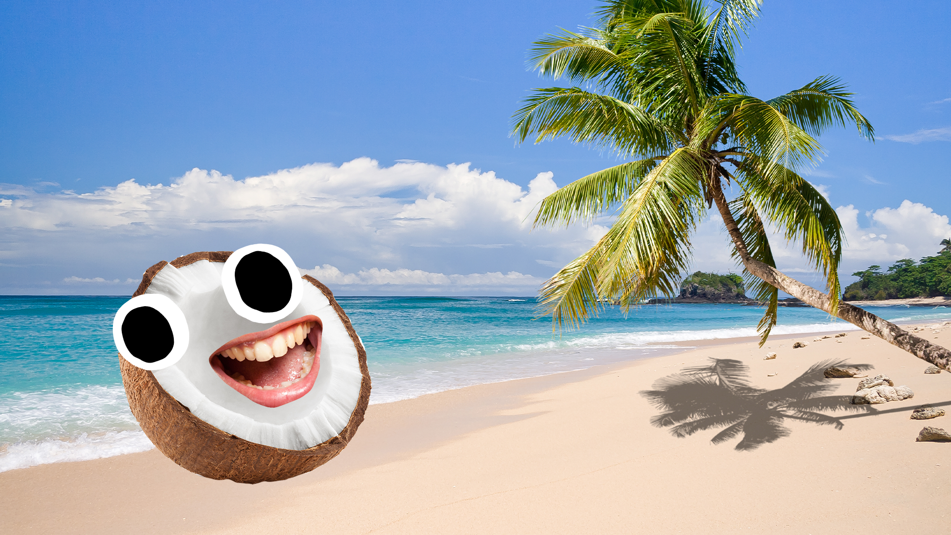 Happy coconut on tropical beach