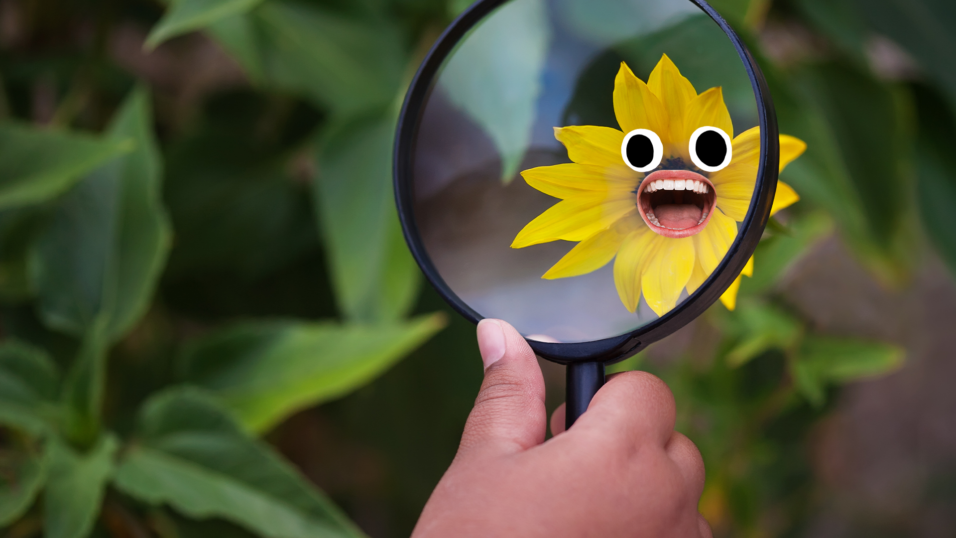 Hand examining flower with face under magnifying glass 