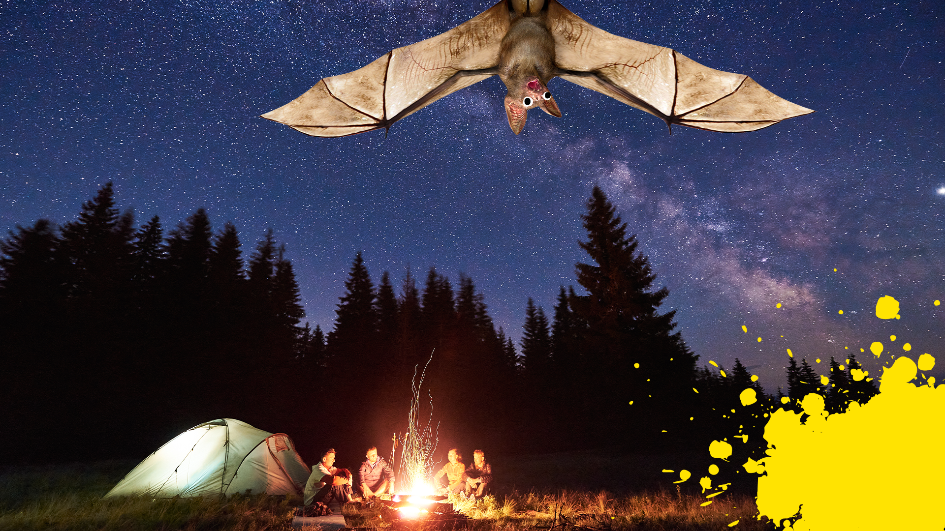 Camping at night time with splat and Beano bat