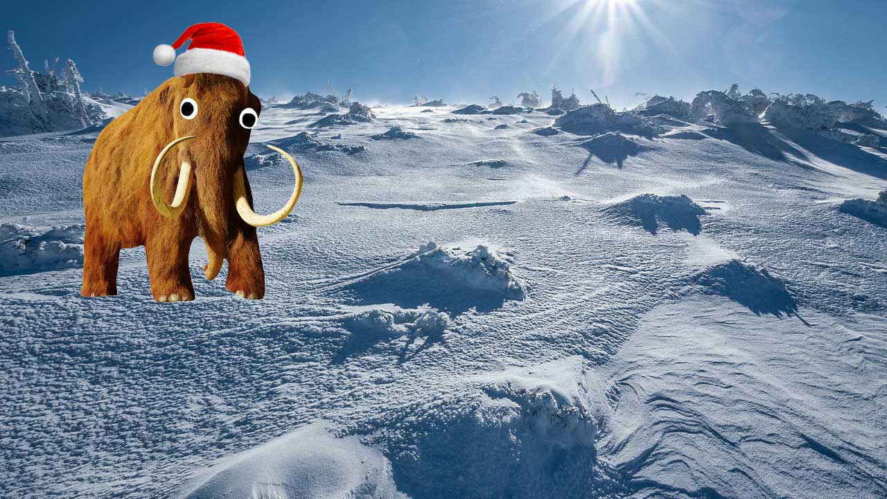 A mammoth in an icy environment