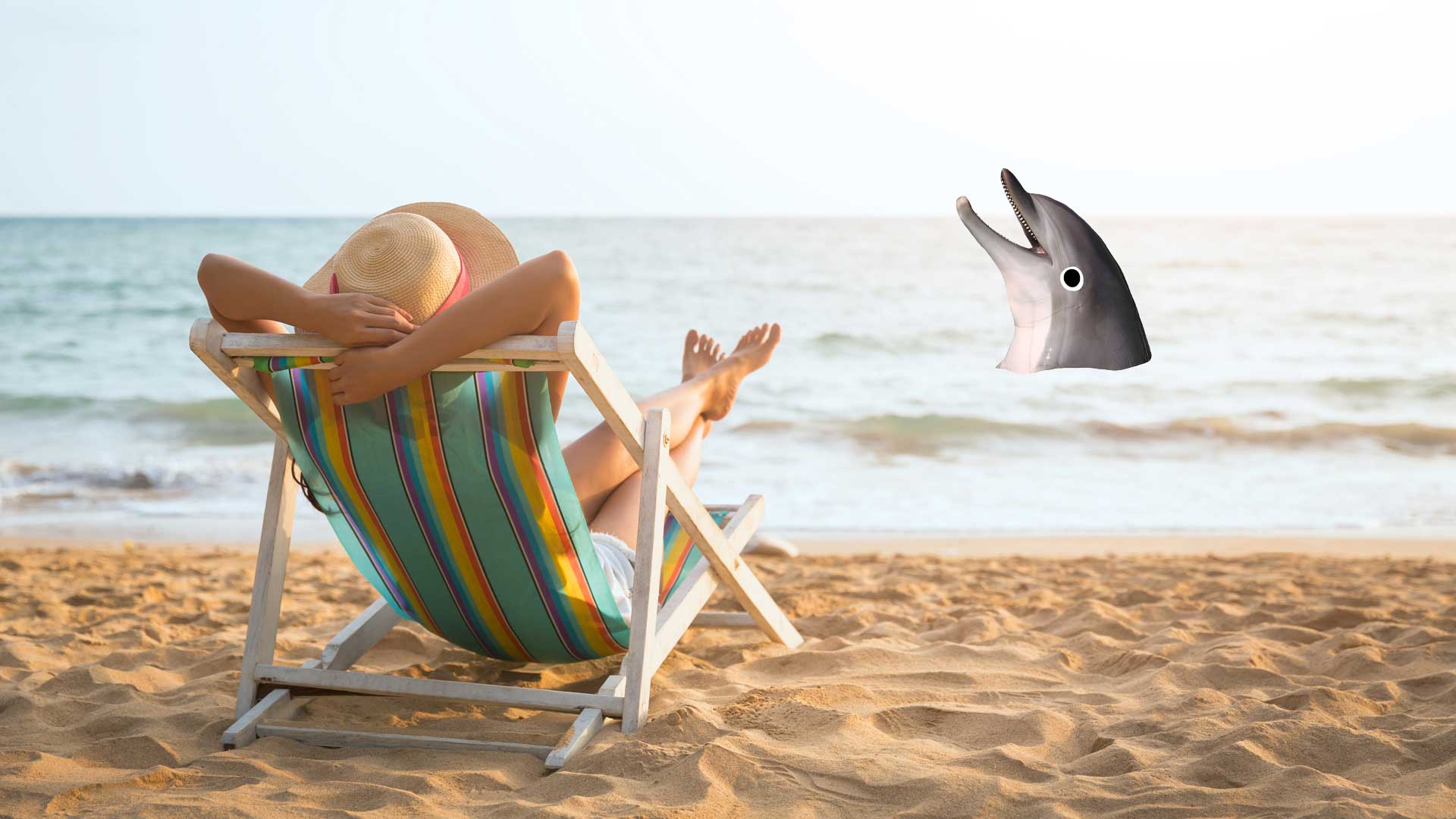 A person relaxing on a beach with a dolphin in the background