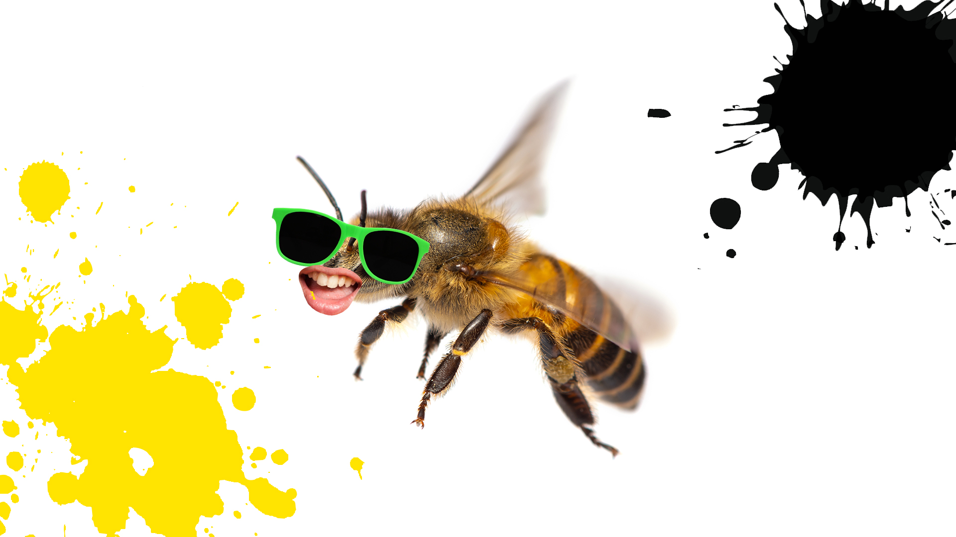 A grinning bee wearing green sunglasses