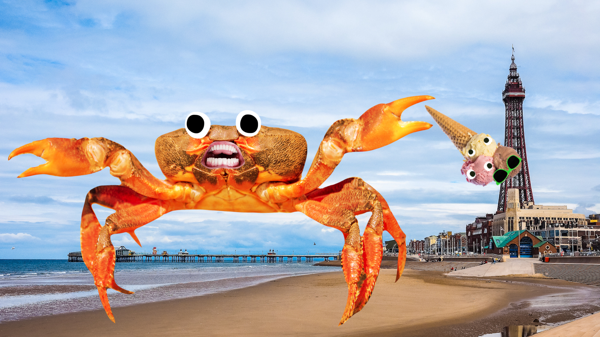 A crab at Blackpool beach