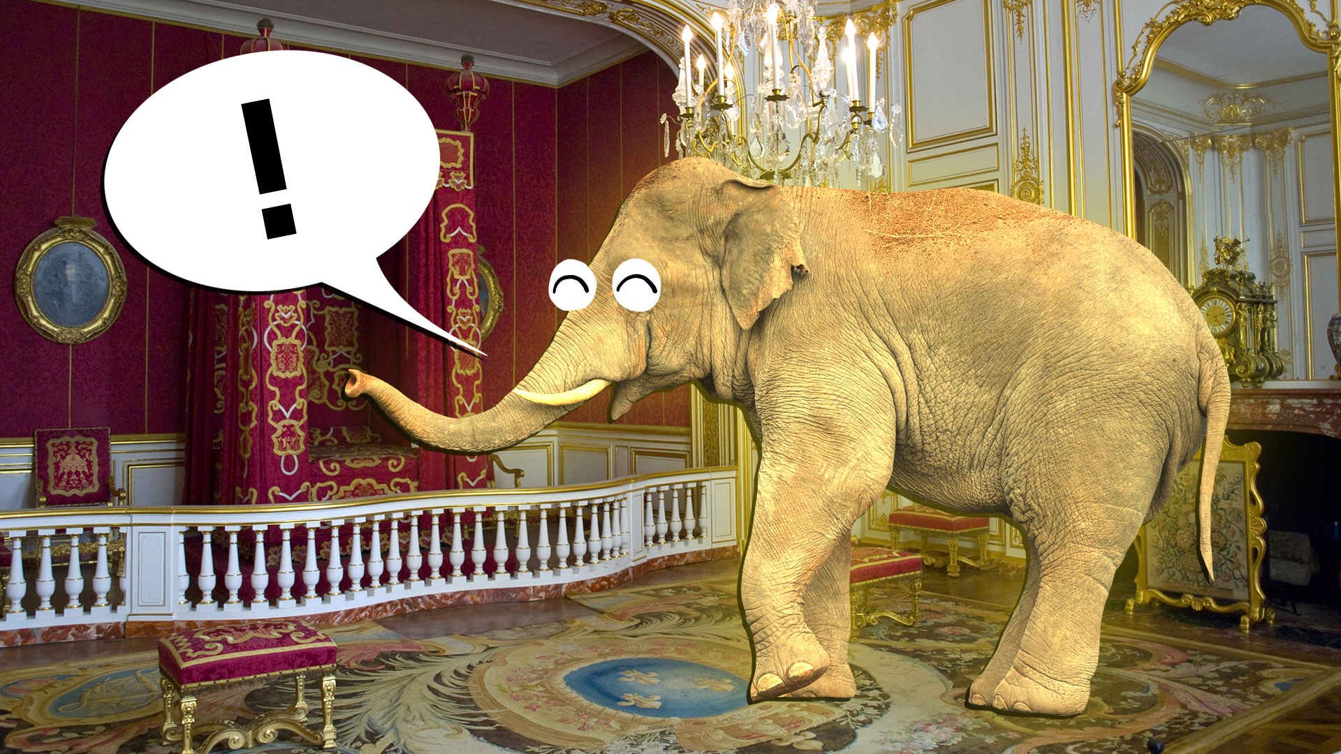 Elephant inside a royal suite