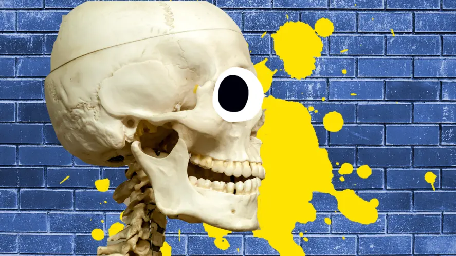 41 Best Skeleton Jokes Your Friends Will Find Humerus 