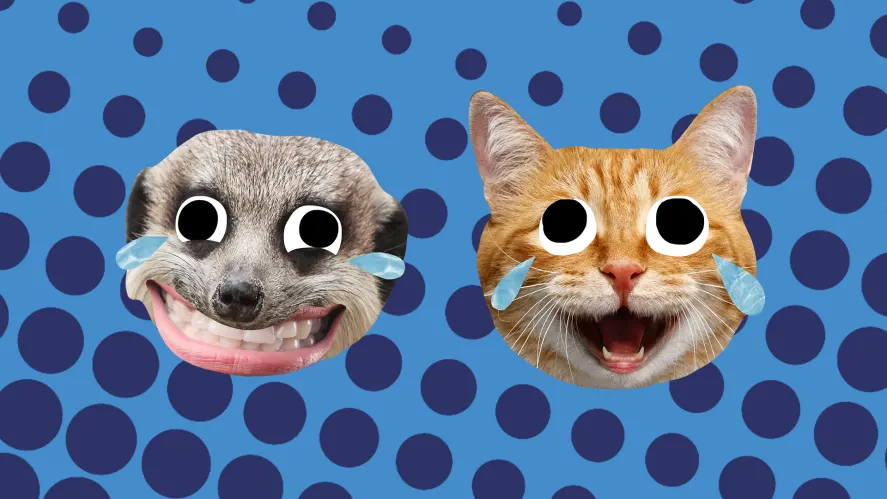 Two grinning cats on a blue spotted background