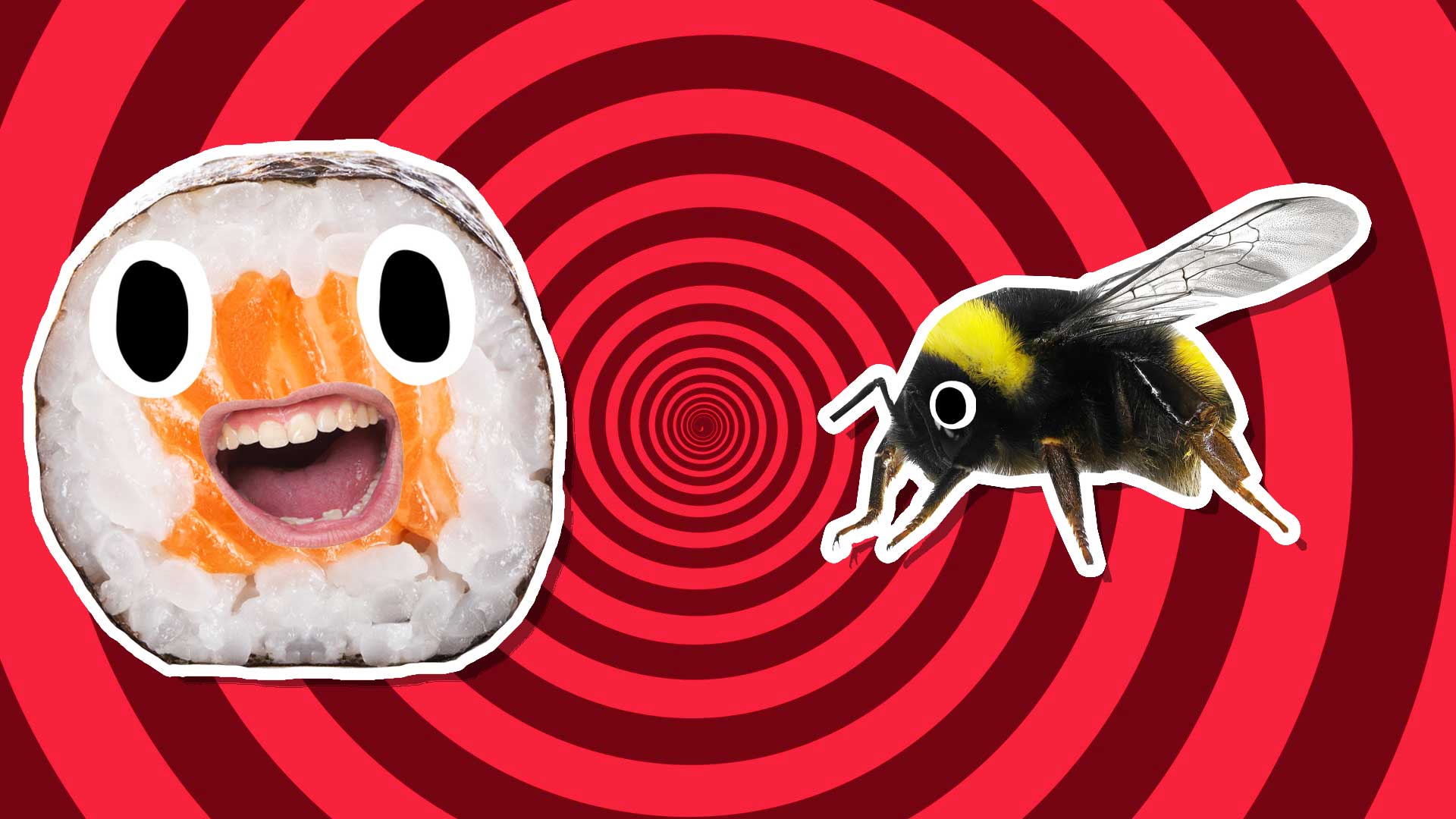 A grinning sushi and a black and yellow bee