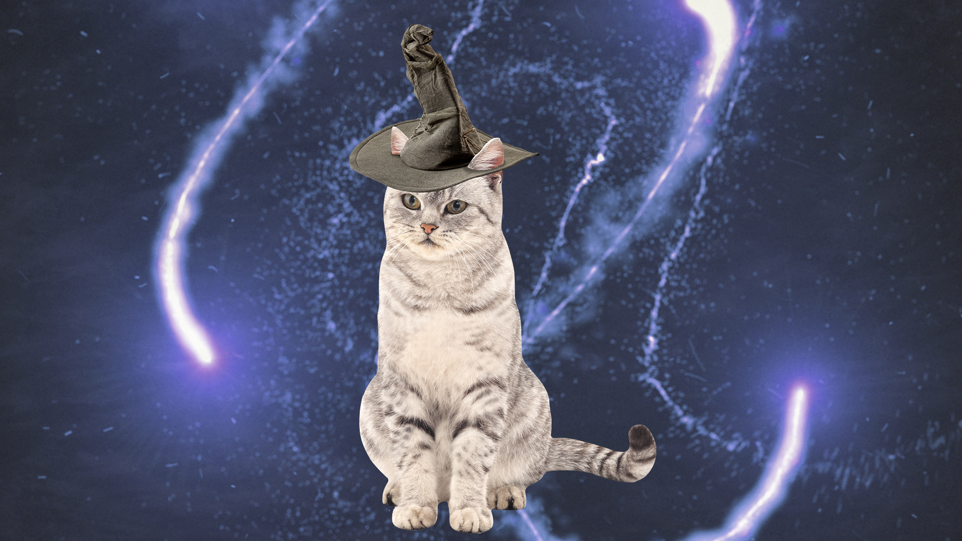 McGonagall cat on magic background 