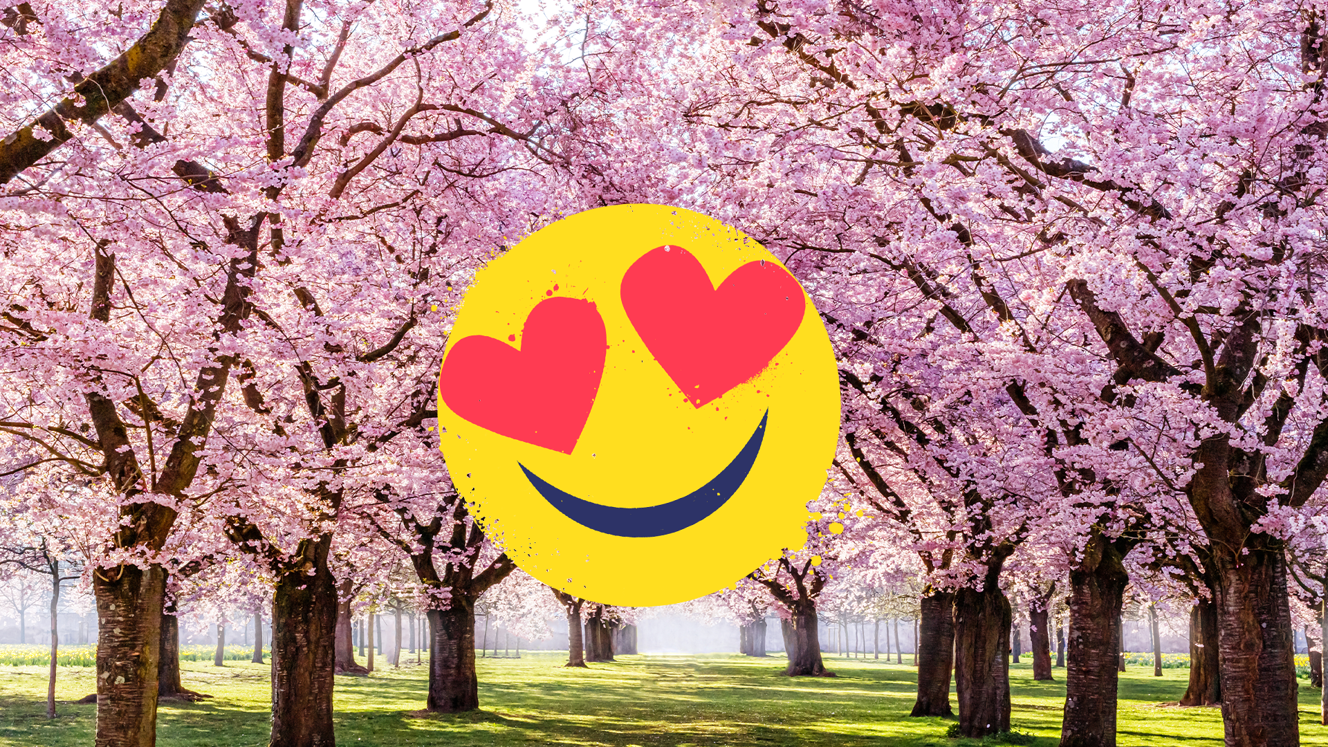 Trees with cherry blossom and heart eyes emoji