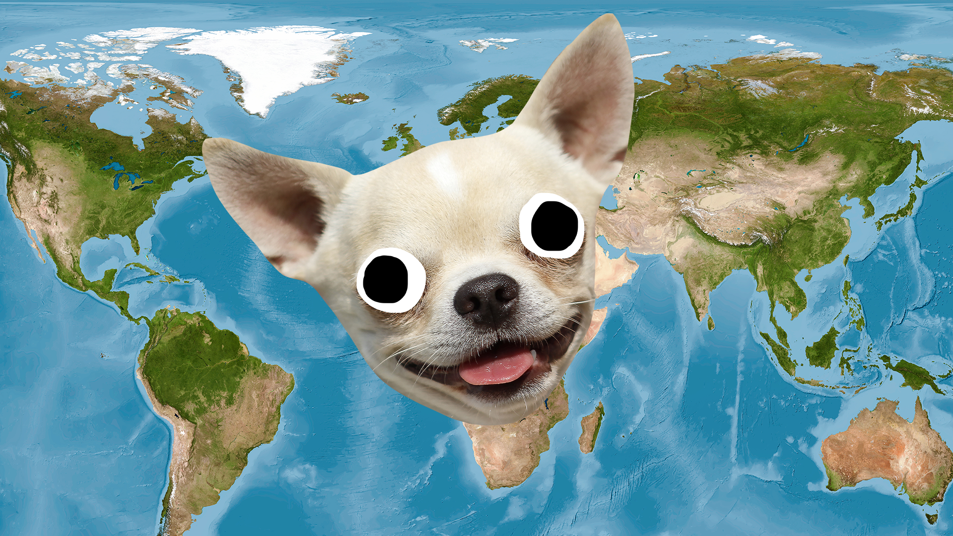 World map with derpy dog face