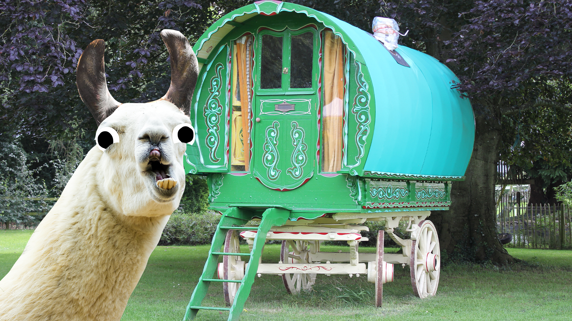 Old fashioned caravan and derpy llama 