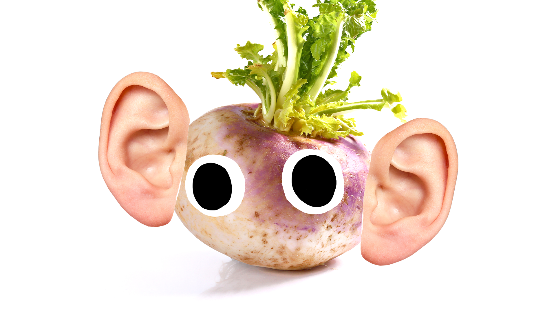 Turnip with ears and face on white background