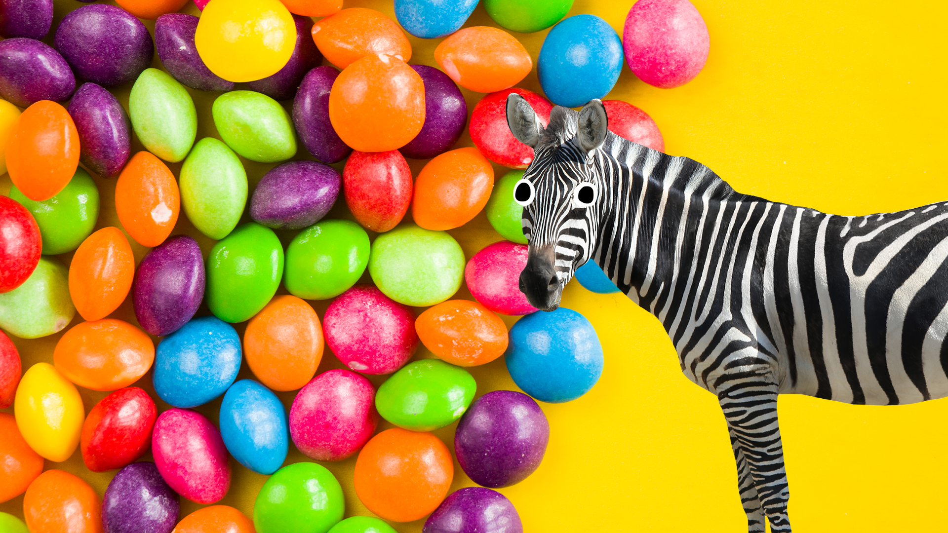 Skittles on yellow background with derpy zebra