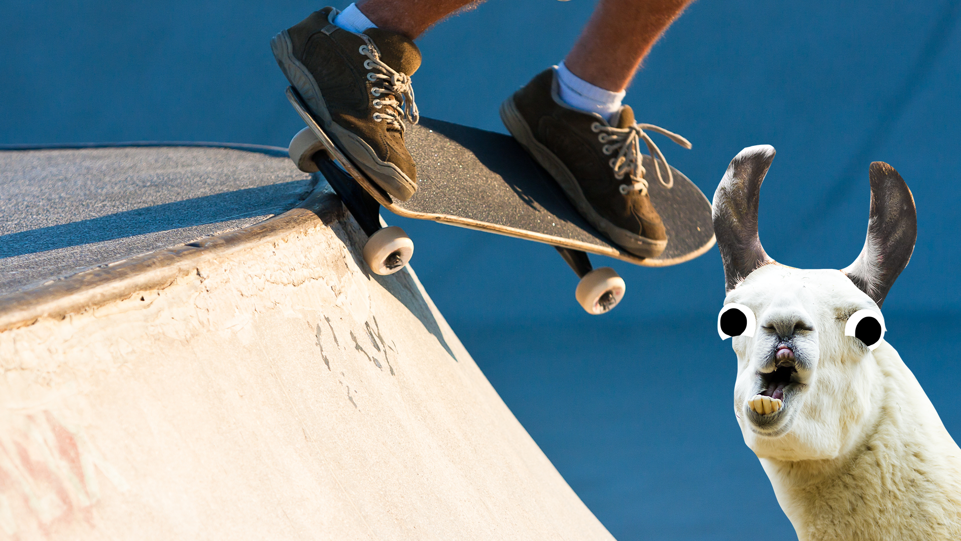 Skateboarder on ramp with derpy llama 