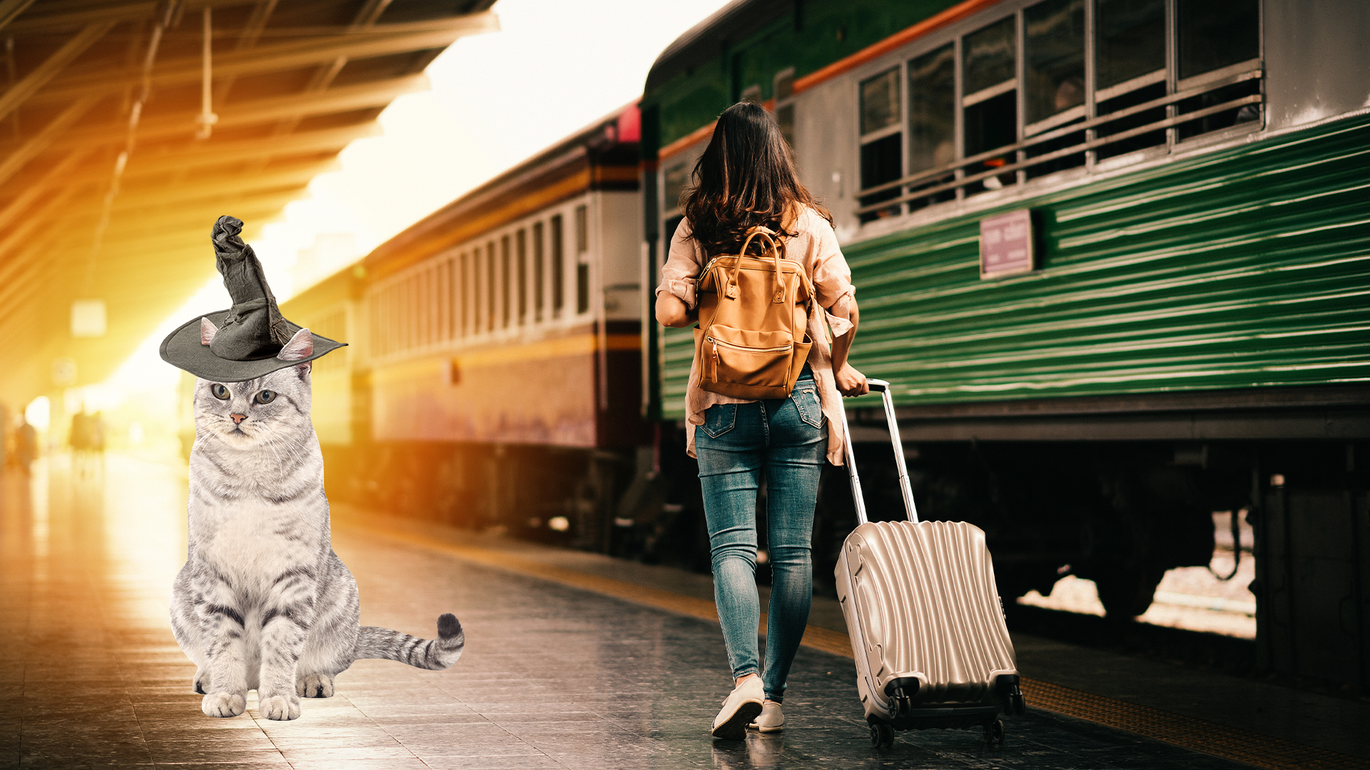 Train platform with McGonagall cat 