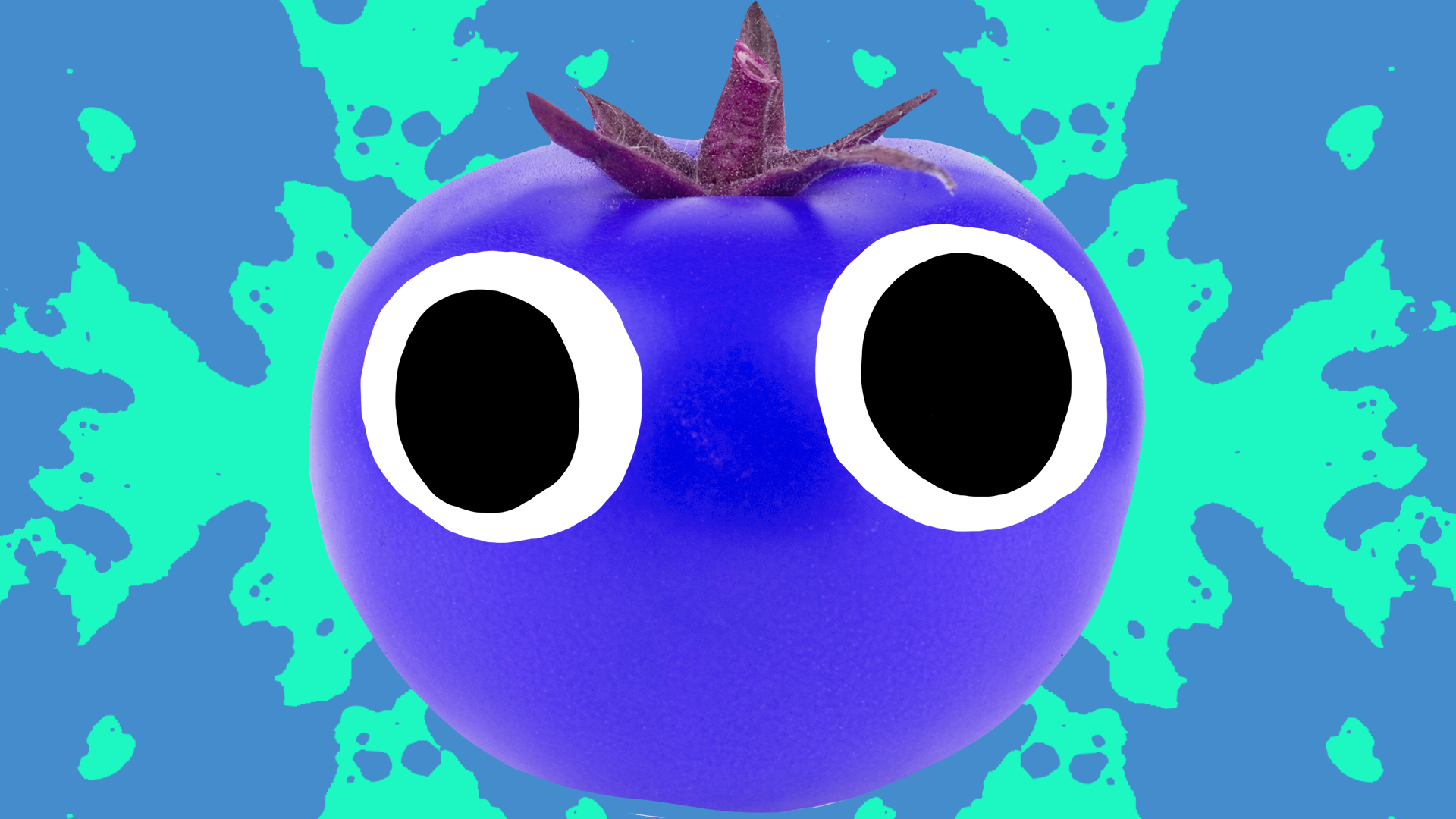 Blue tomato with eyes on blue and green background 