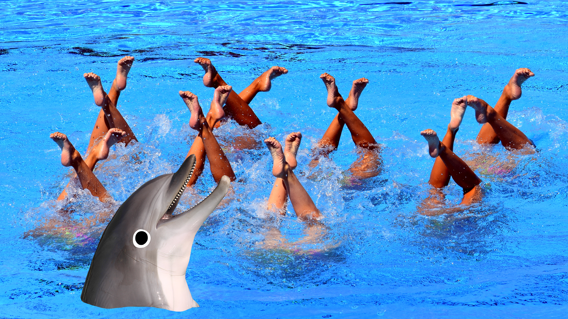 Swimmers in pool and Beano dolphin