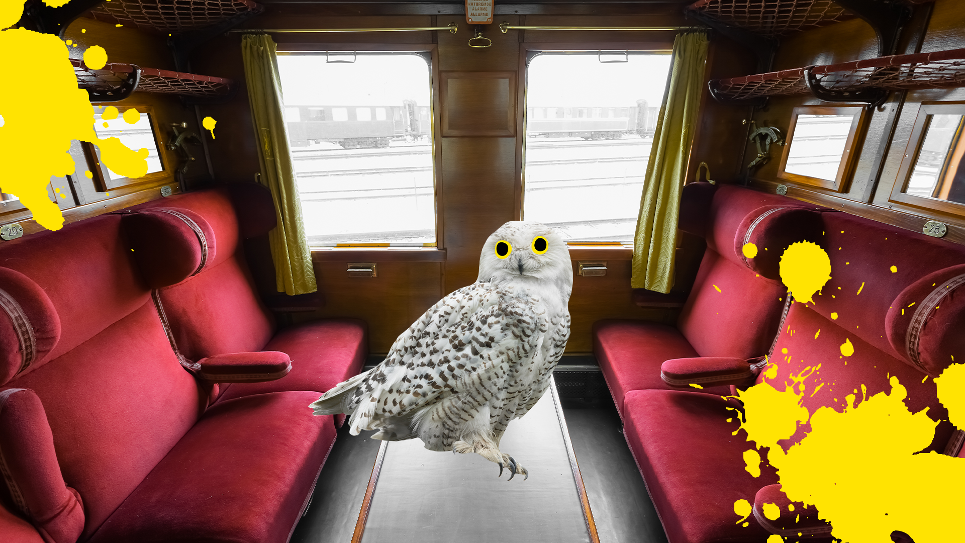 Train carriage, Hedwig and yellow splats 