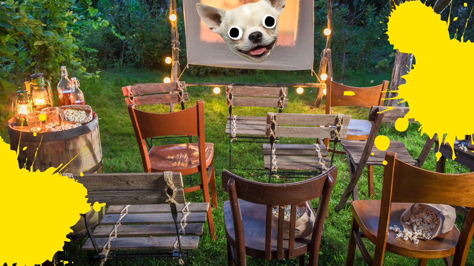 Outdoor cinema with derpy dog face and yellow splats 