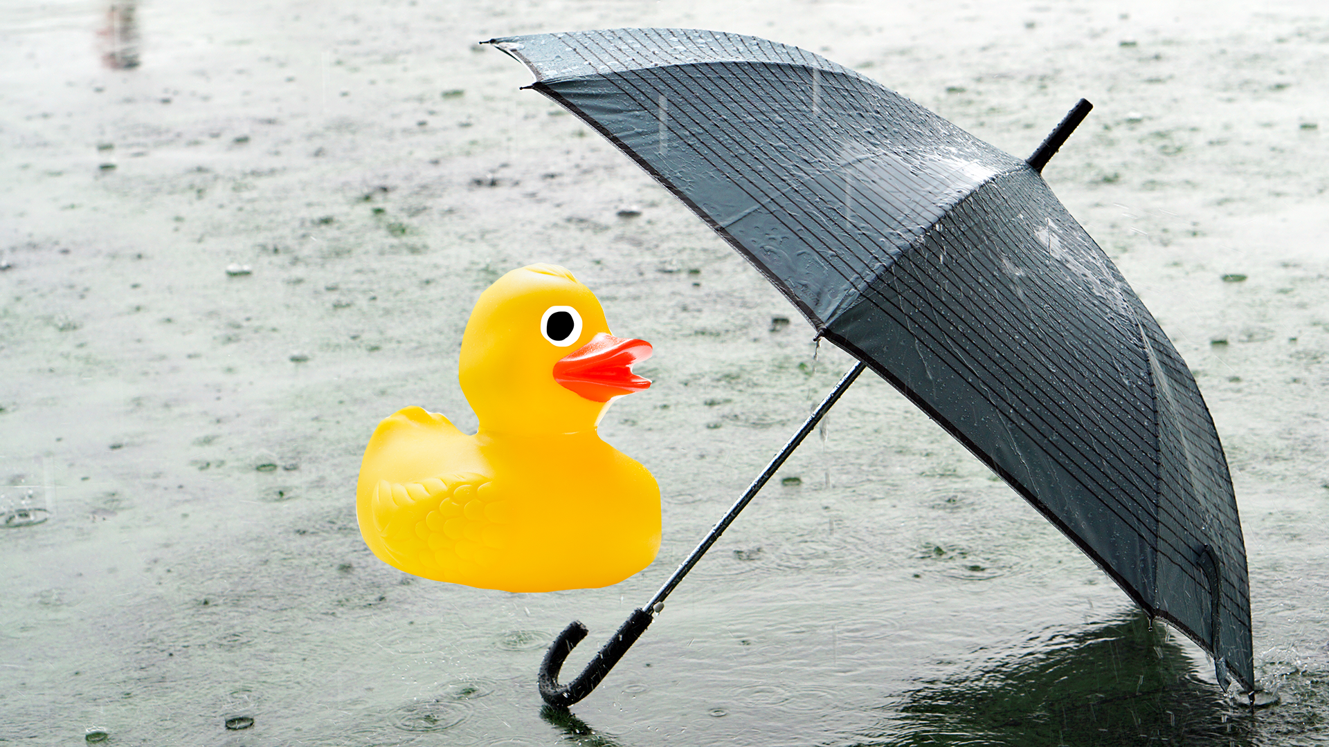 Umbrella in rain with rubber duck 