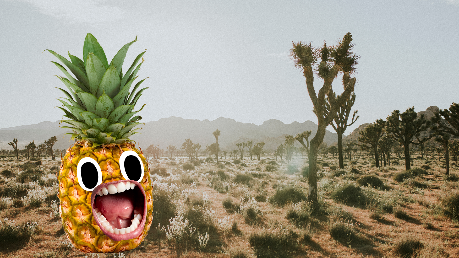 Californian desert with screaming pineapple