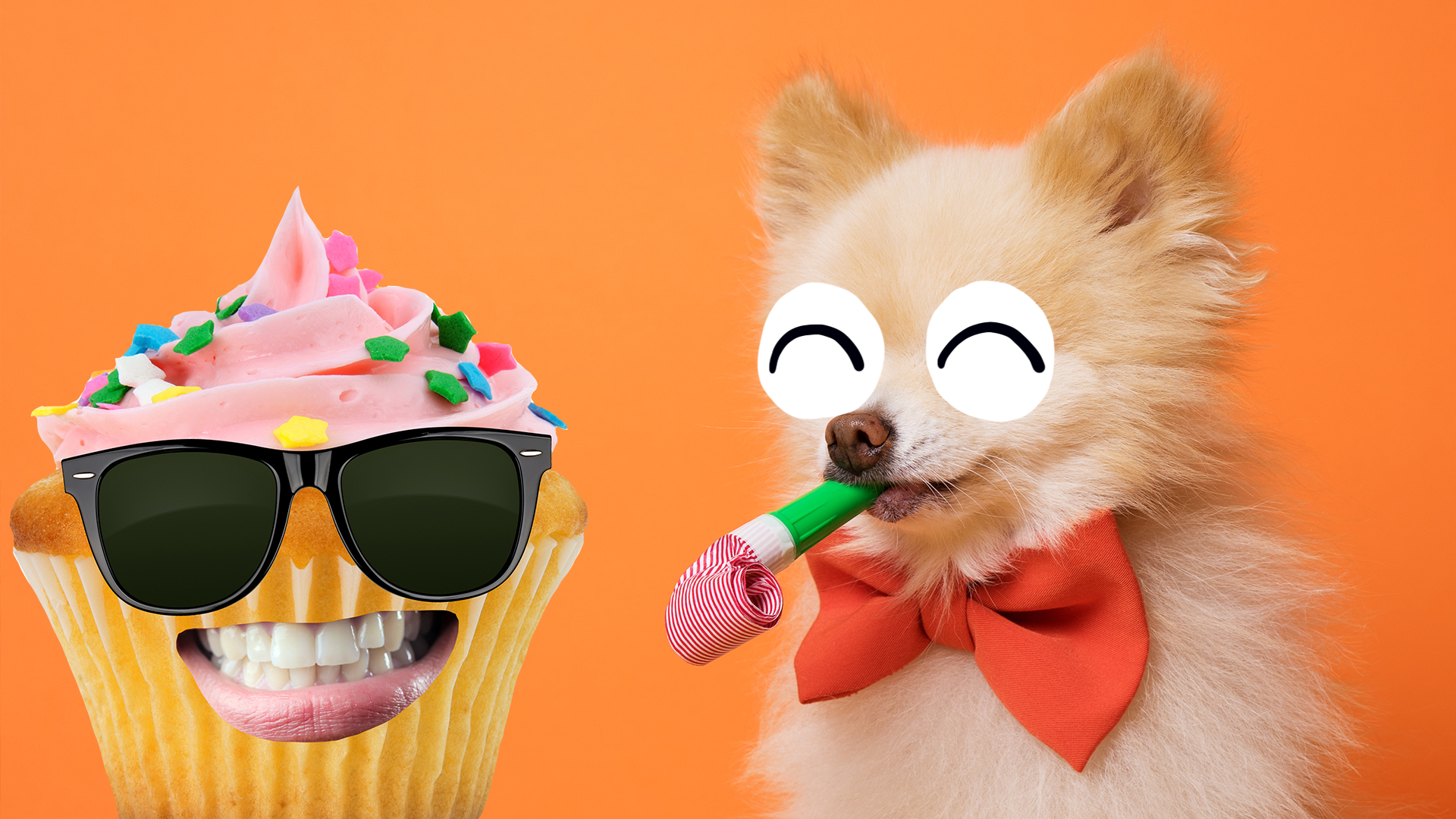 Birthday dog and cupcake on orange background
