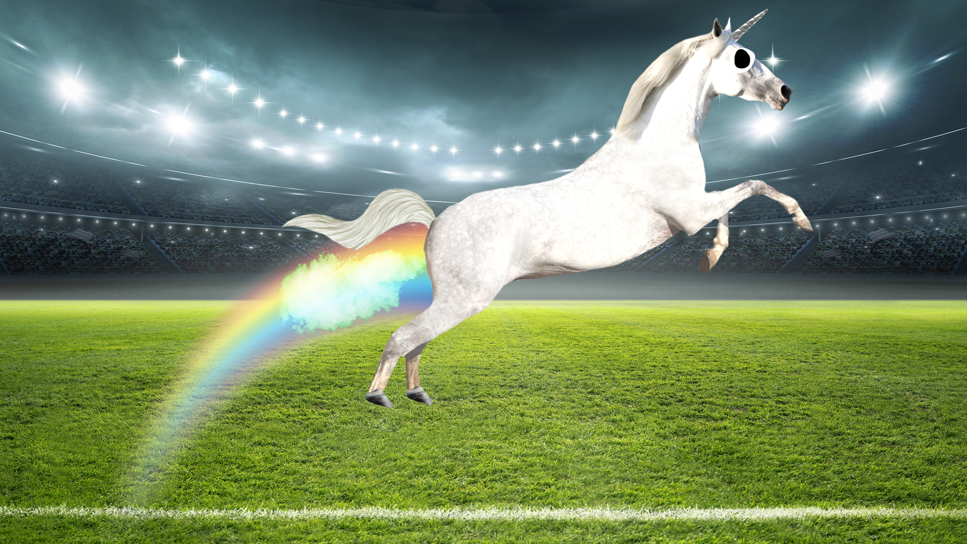 Stadium pitch with flying unicorn 