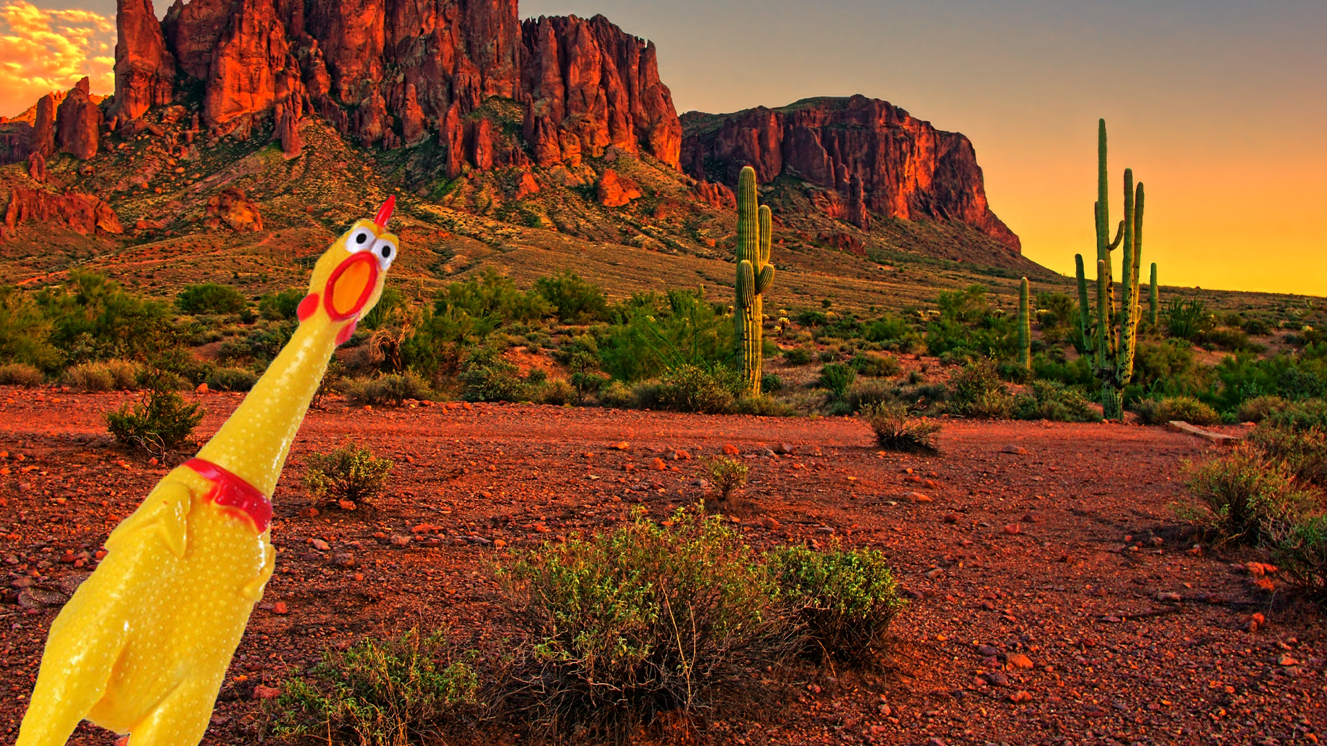 Arizona desert with rubber chicken 