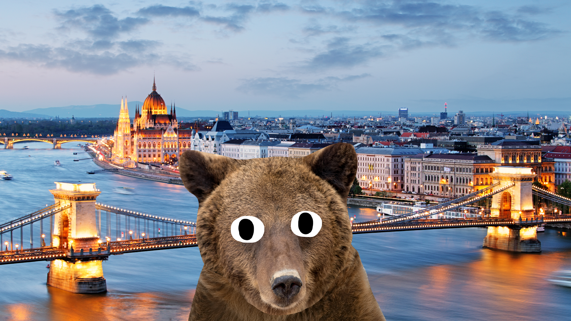 Budapest city with derpy bear 