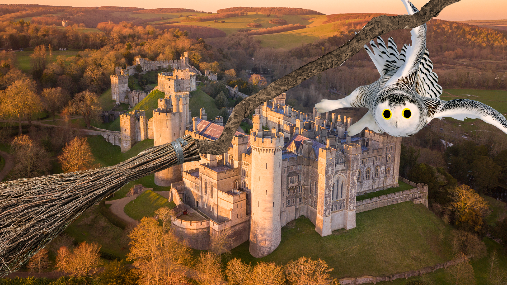 Castle and grounds with Hedwig and broom