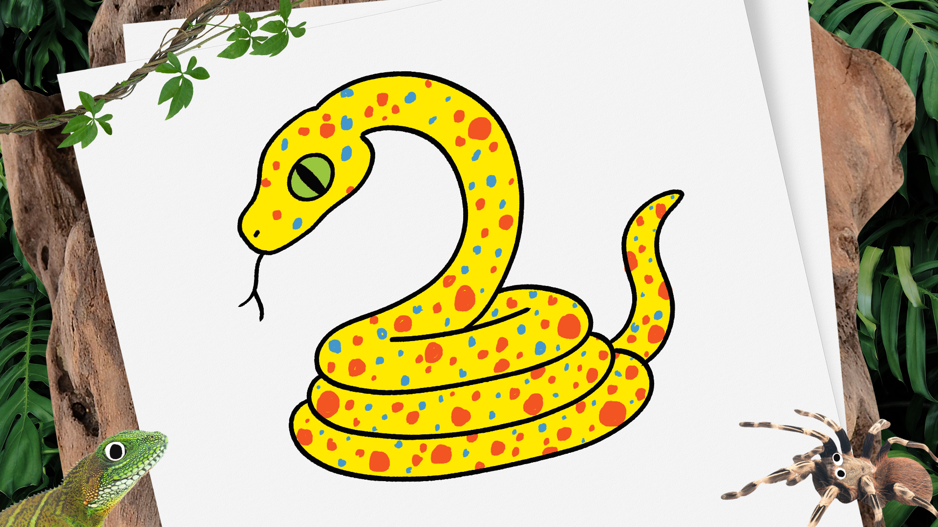 How to Draw A Snake! | summer of adventure on 