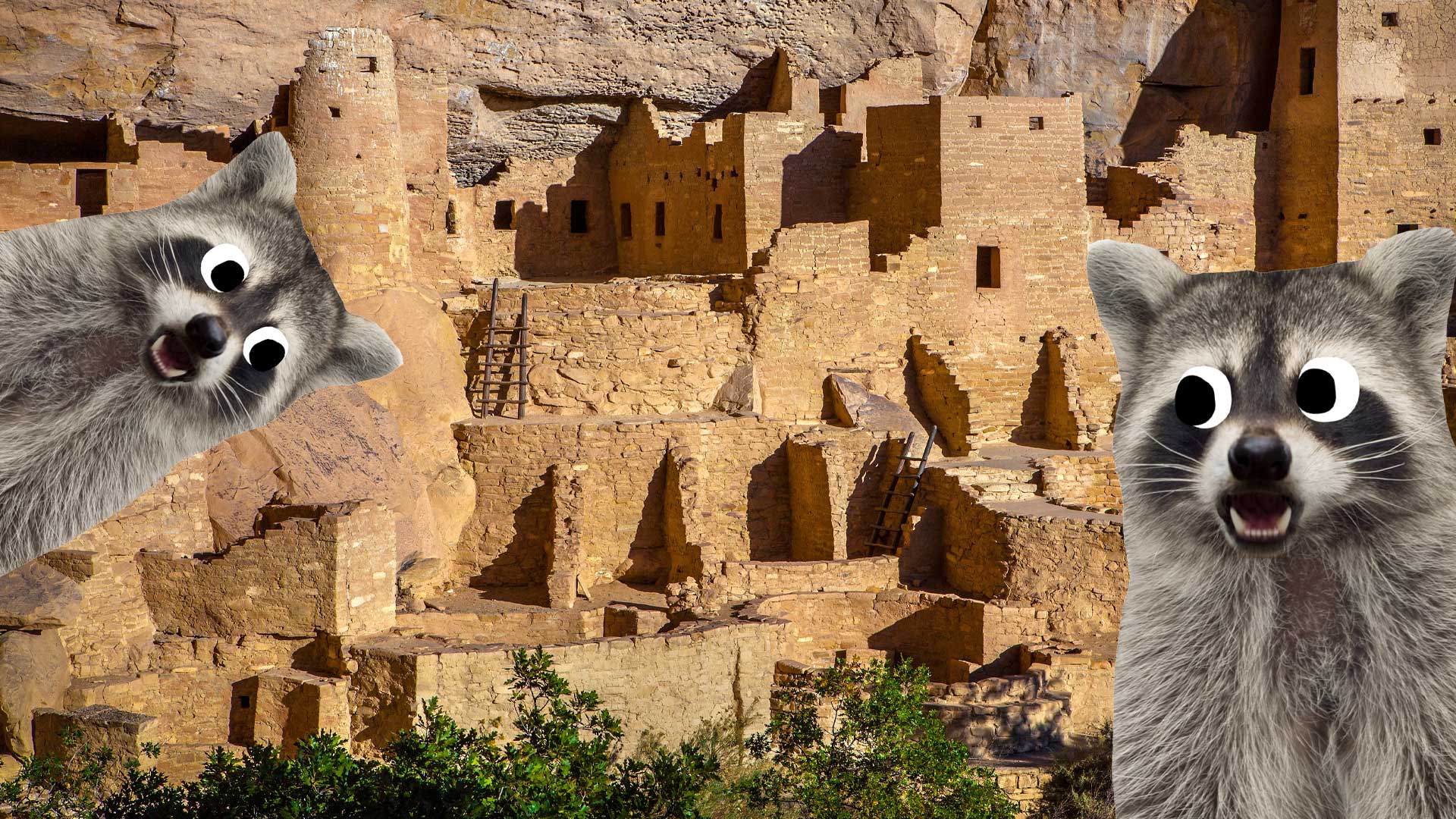 Cliff Palace