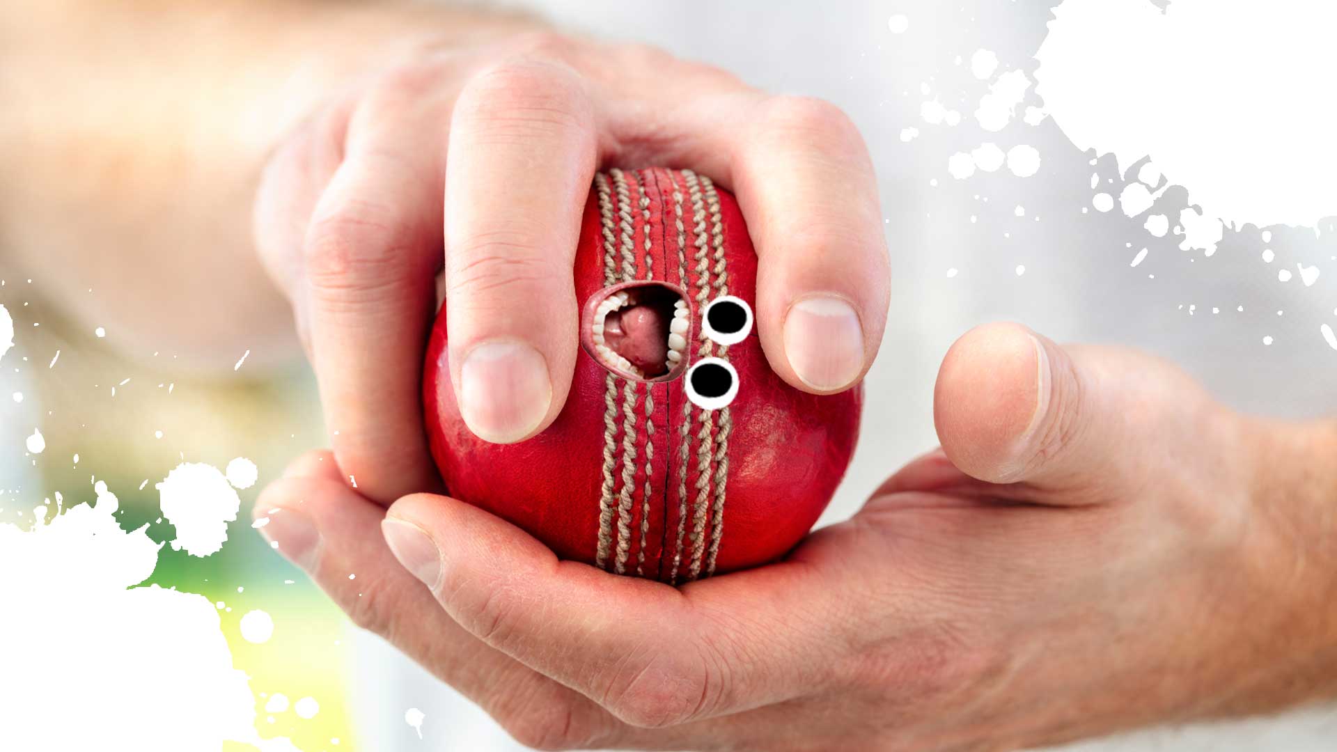 A bowler holding a cricket ball