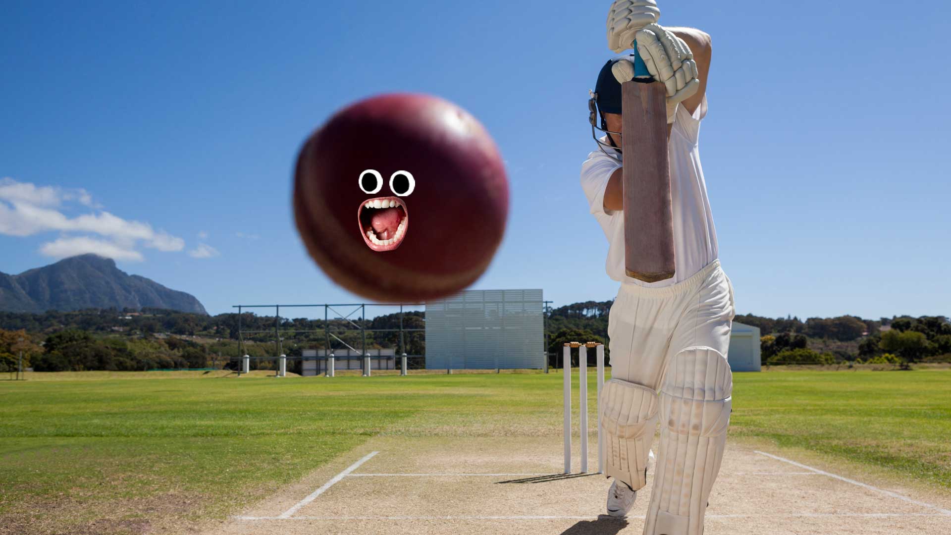 A cricket player hitting a ball